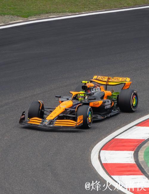 F1终章落幕 诺里斯获得年度车手总冠军